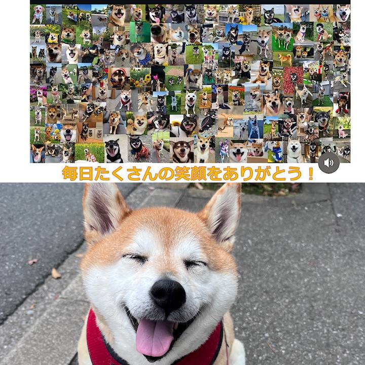 742e3153 18f8 449f b486 de8263ec457e 1725181109807