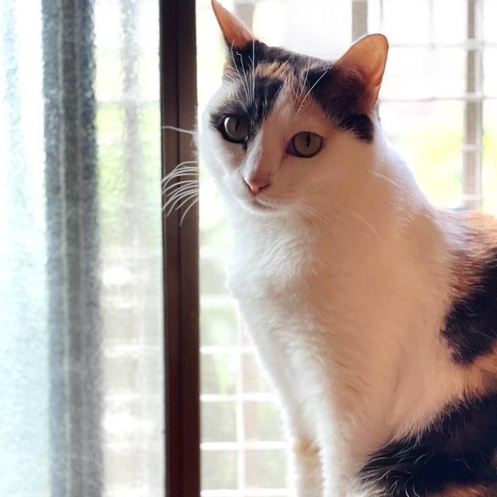 742ec1e6 f487 4b97 98a2 6b6a023220f2 1624765559445