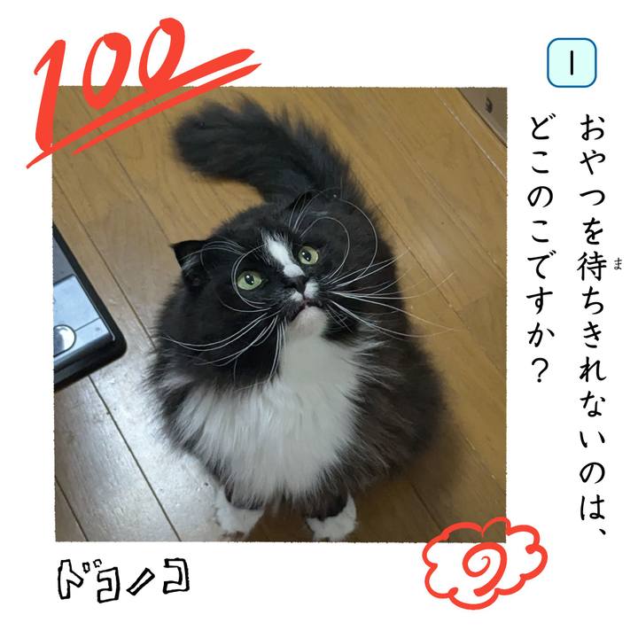 742ec3d5 4719 424d a181 0d18a1c8385e 1744630798510