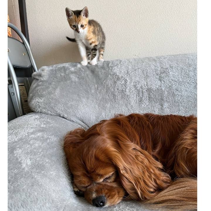 742ef3e2 77bc 493e ad11 3bdd838ffc60 1652308073680