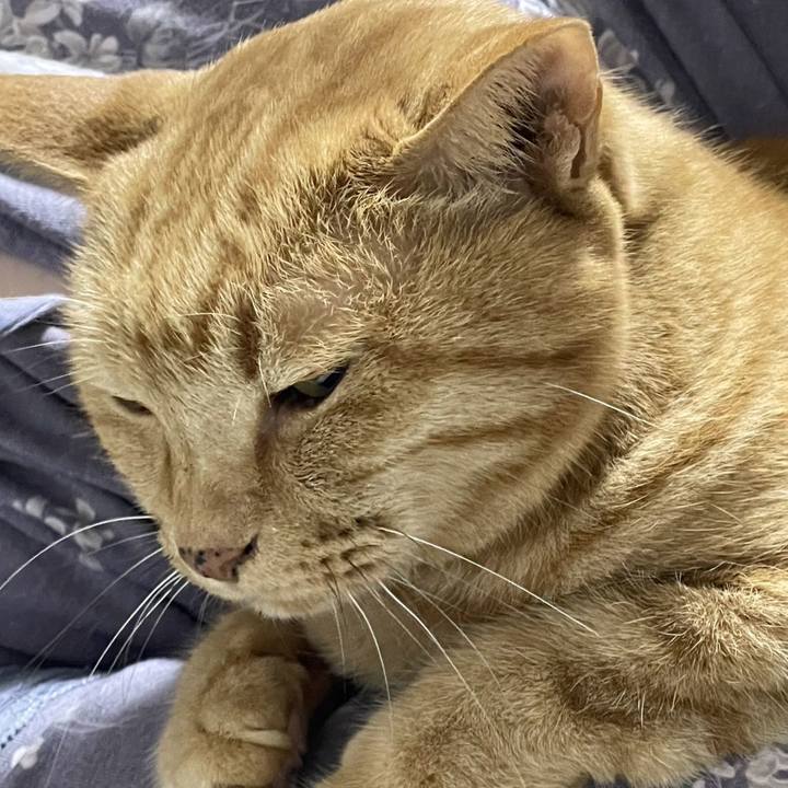 742f384b 2cdb 4944 a542 c551a910321f 1745367682770