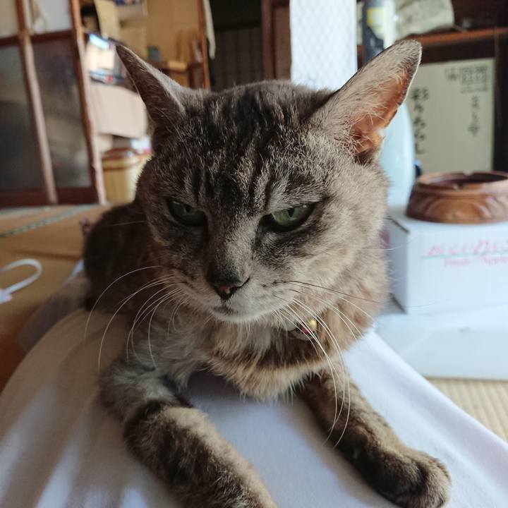 742f8568 220e 4a69 b826 b54fe2d14eb7 1592716893625