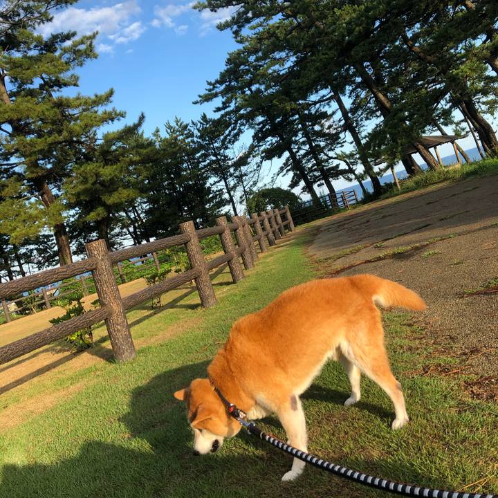 742f9820 ff97 4d40 8c0f b7848760da8d 1600470054116