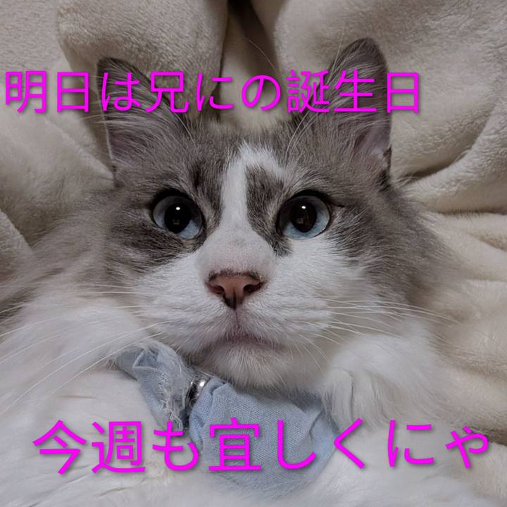 742fb621 fb6c 4179 acbf 409729fb5da8 1772396054506
