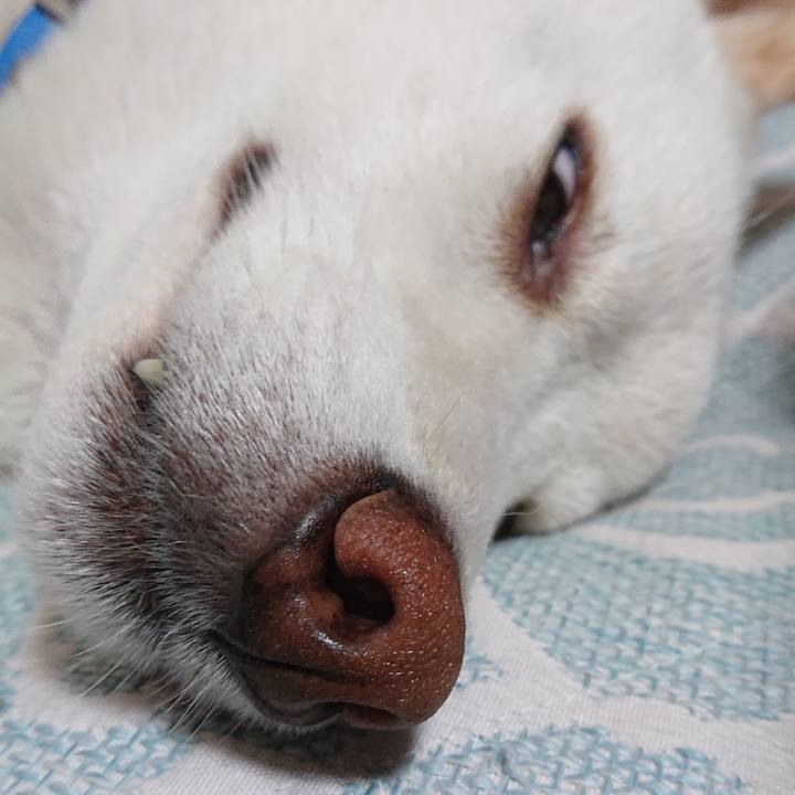 742fe1e8 a9df 40d9 b6c1 9ba08b2c3b3b 1594125627217