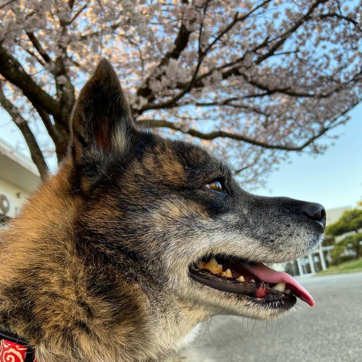 742ff9fb 210d 4c5f 974a 9e9f35a4daff 1617183699885