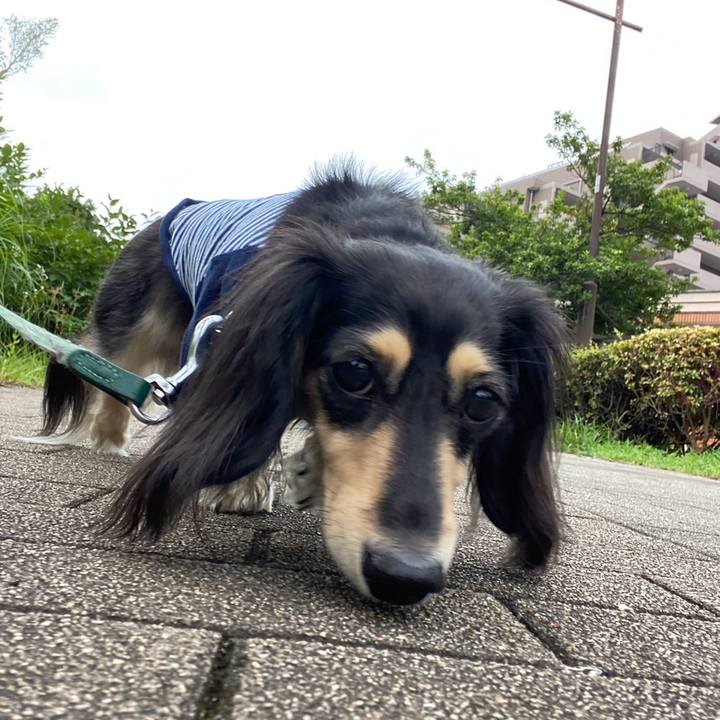 74302fda 7da2 4133 a72f bb387b92d908 1752279261385