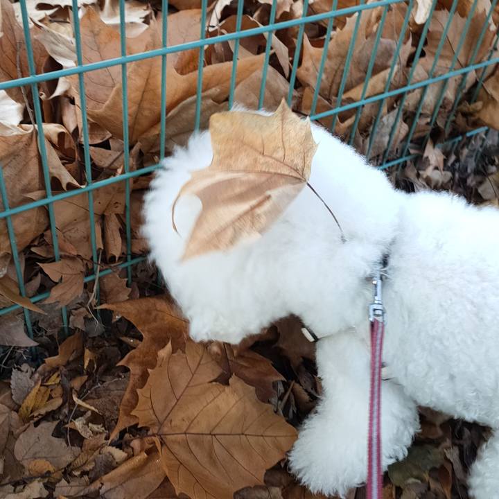 743067ab e81a 49d5 b313 f297594988fc 1763894713014