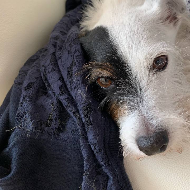 743071ea 7fa5 4a73 8219 16f159809ef5 1695601657172