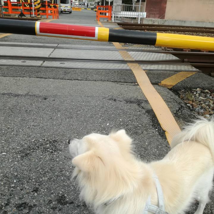 74307adf 228d 4508 a4f6 f0b220c9441b 1508892786540