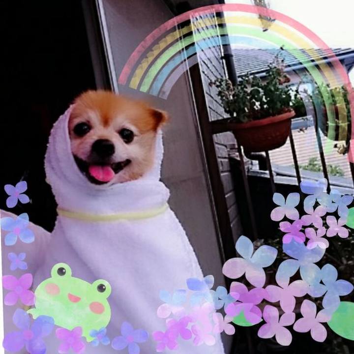 74308f4a 7bd1 409d b45b 8da68044f6cd 1530918043850