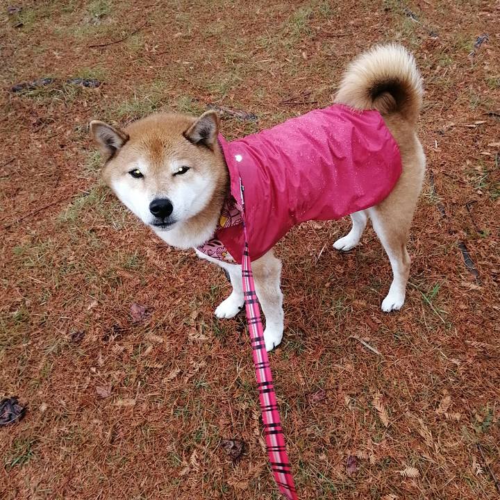 74309bbd d453 4479 8332 298286b7e6fc 1671703256804