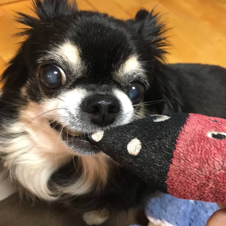 7430aa3e 326b 4bd1 baee b5b98847a3f1 1547627274447