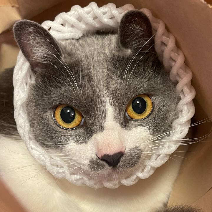 7430d847 4027 48fd 9f84 724f6e85562d 1626175996690