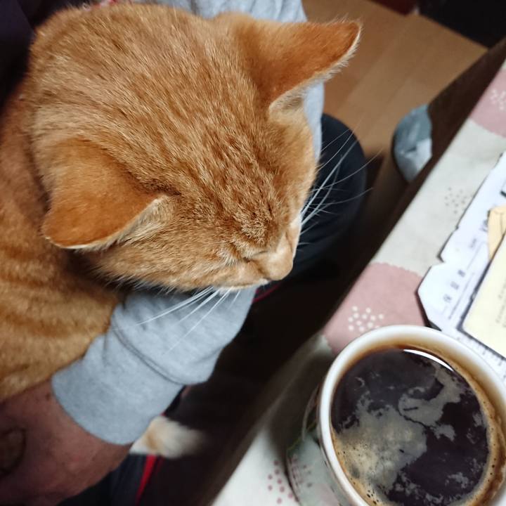 74311949 5024 4d2f aca0 d27af358971e 1608496701466