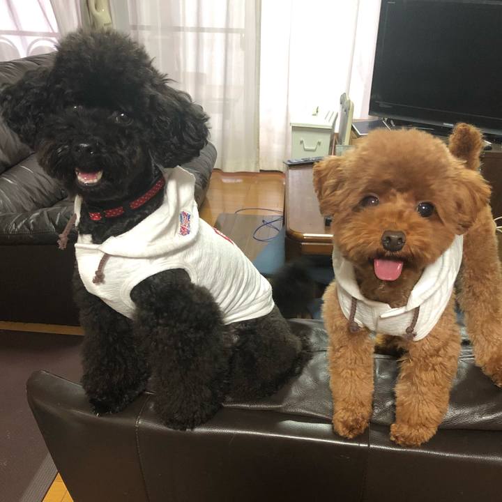 74319653 cecd 4874 90eb fef304e60b0b 1571005794906