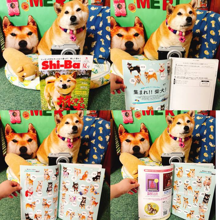 74321a3f 2093 41d4 85fe 5567666f2e8a 1653977622796