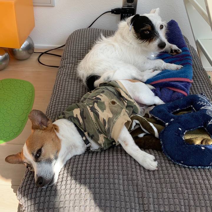 7432374c 4eb0 467c 8a4c 253dbb1a1737 1555912163545