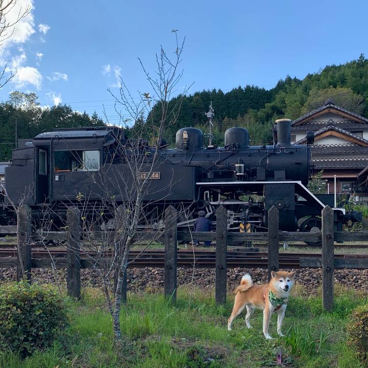 74325c0c b351 4f36 b16c c7558ce8ceaa 1603622429820