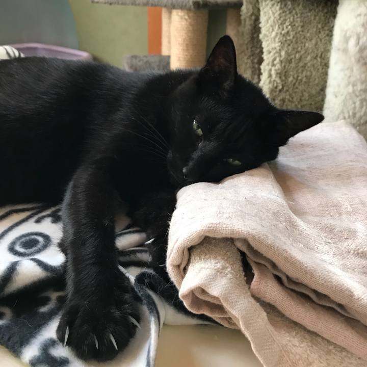 74328c5b 3544 47c8 bb84 135de1512bf2 1507684713838