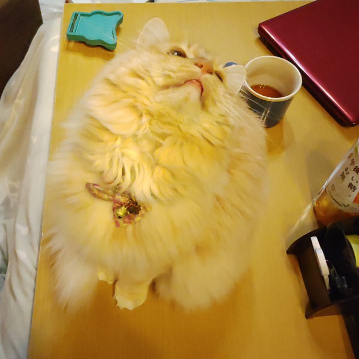 7432905e 2adf 4ba3 b70b 0f109aee760d 1672353185240