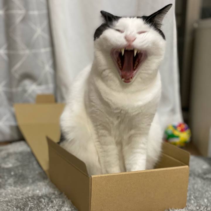 74329a36 9217 4cf2 adde e08ad8f9df2d 1605566996022