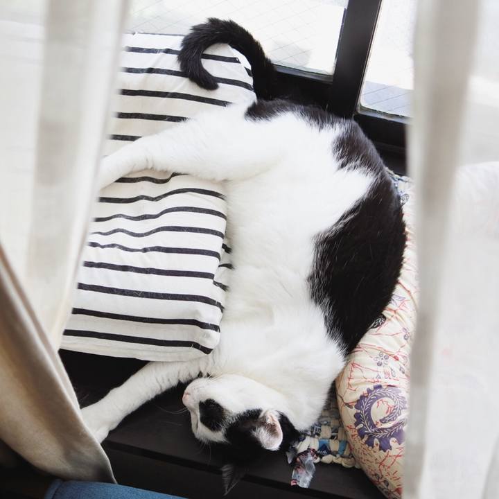 7432bff9 5360 44b9 9cf2 565ff488a5d4 1592198307785