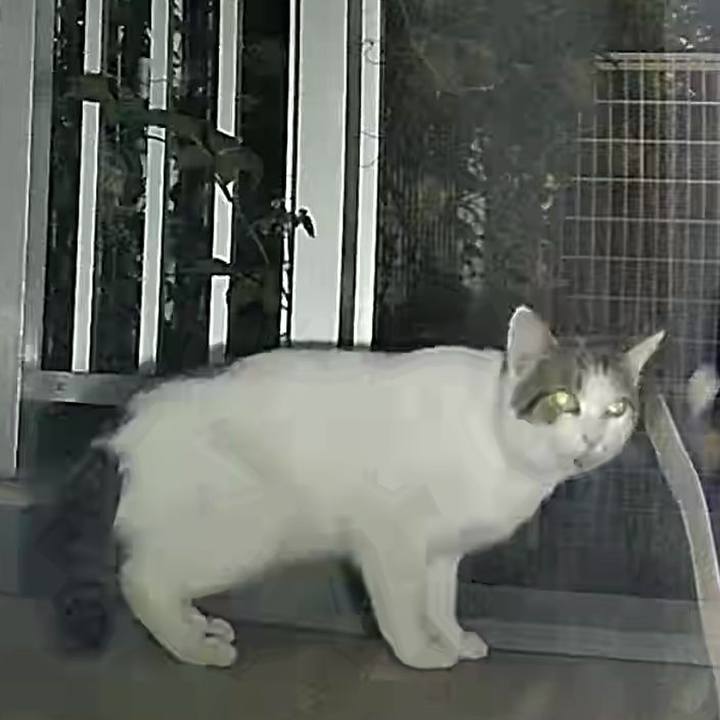 7432d2d1 f1cd 4849 9b7e 37ca917b0448 1725713634540