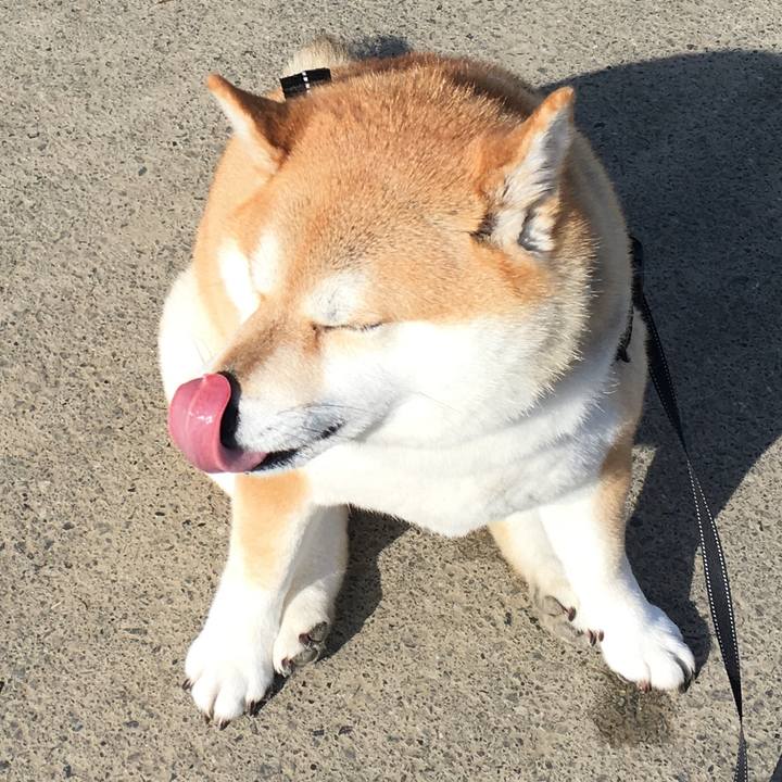 7432d551 4782 4ccb 9170 0971811d4d07 1574056351492