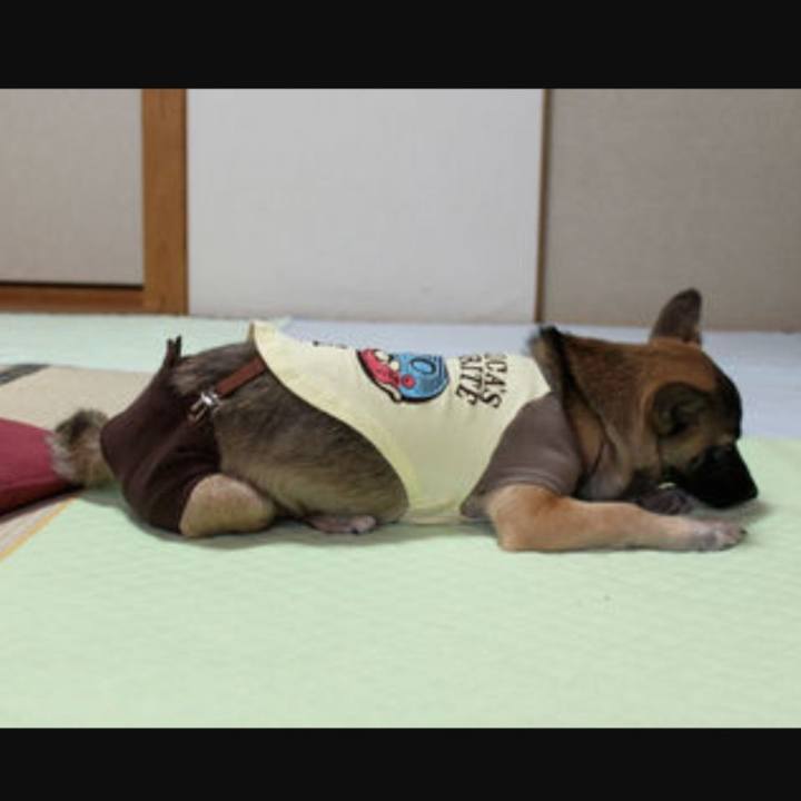 7432e9bb e712 4dc1 b959 338aceefa6b7 1571308543382