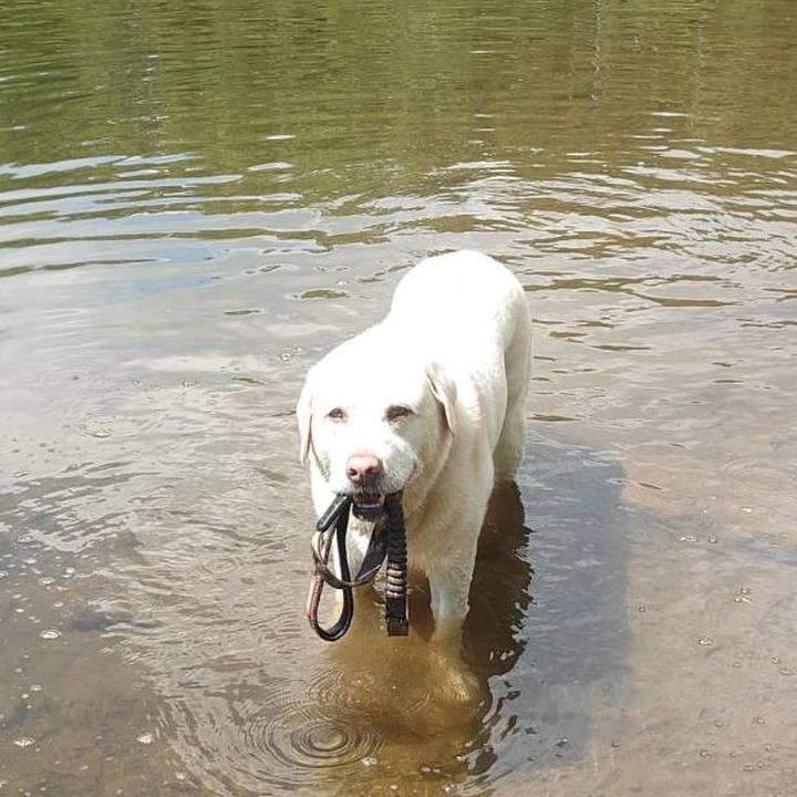 7432fbc0 bf2a 4434 a164 2818ee4281b6 1753703137048