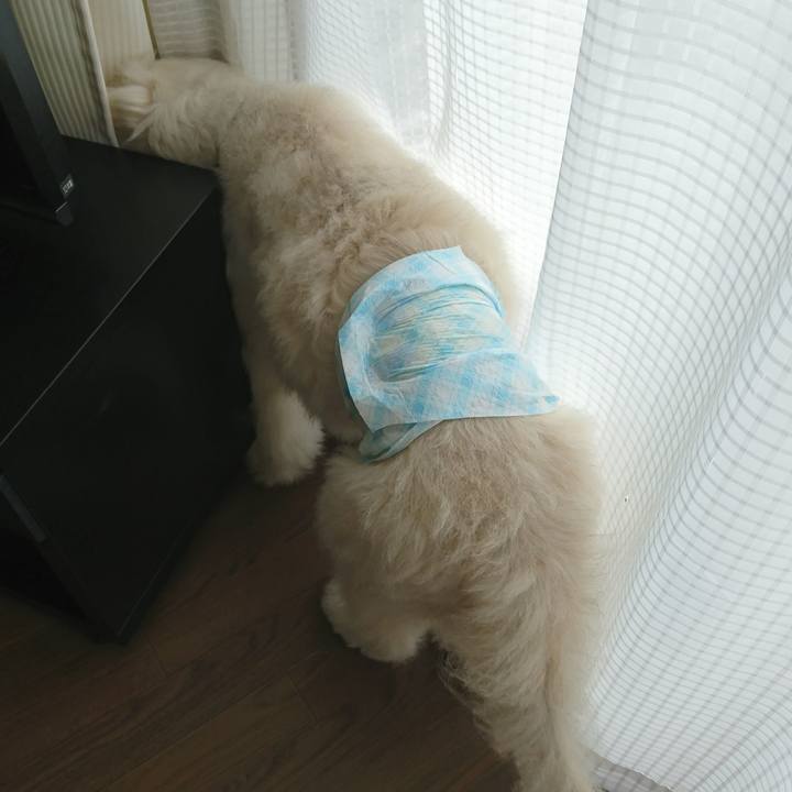 74331308 866a 4aca b615 63d02905865f 1596005703767