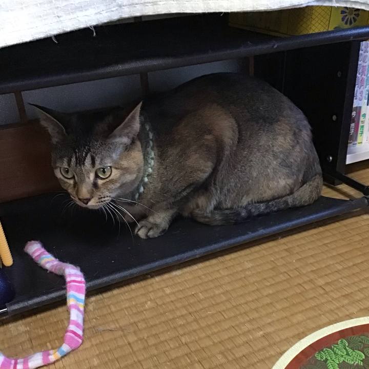 7433638c dfd6 453b b049 3ef07d17fefb 1645950488640