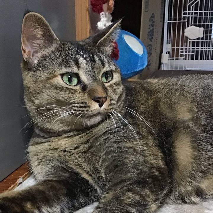 74338354 a343 4a30 ba33 a8cfebafd45a 1665391234297