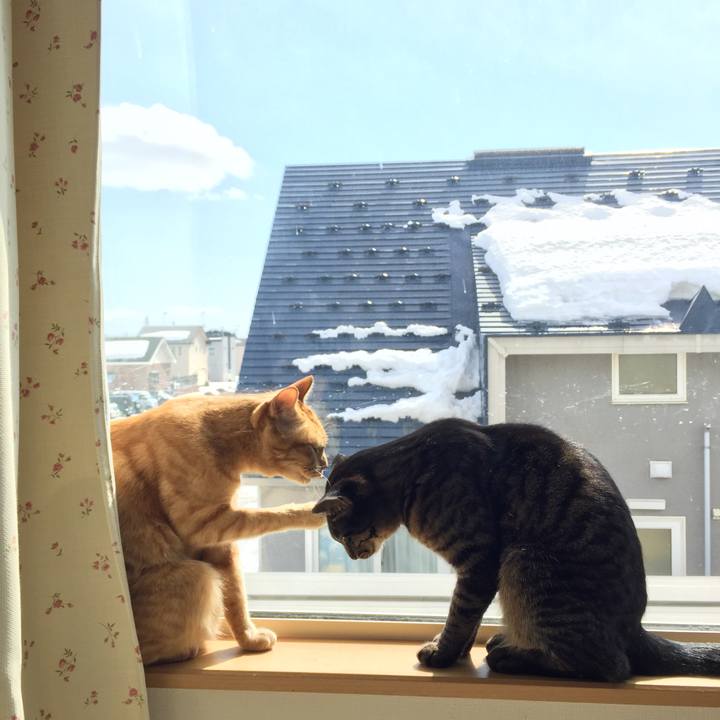 7433e62b 7982 4a9c 931e 6342d87bcda2 1521387362434