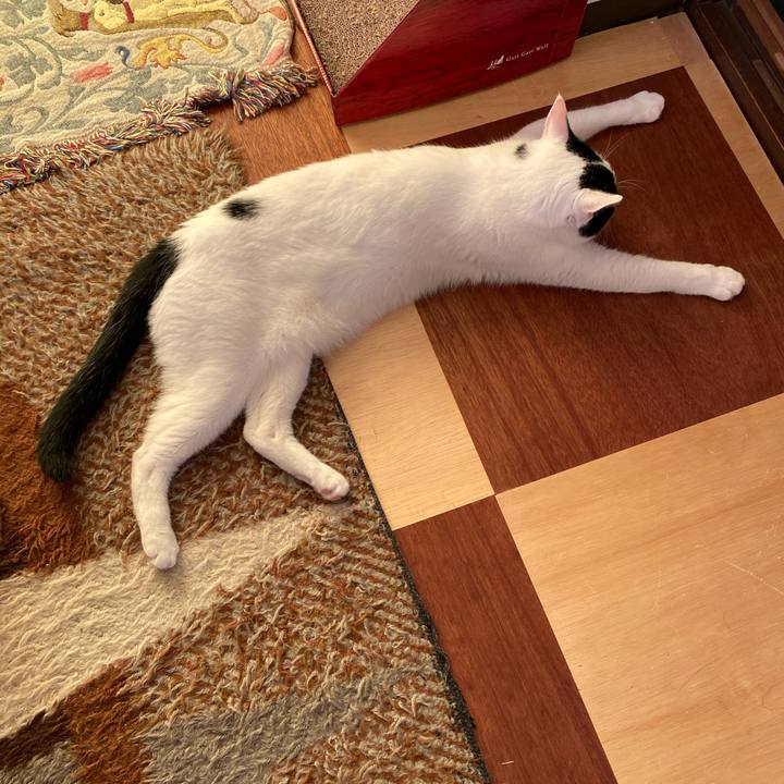 74341ff3 7046 43df b68d 70752d41d32c 1597131336330