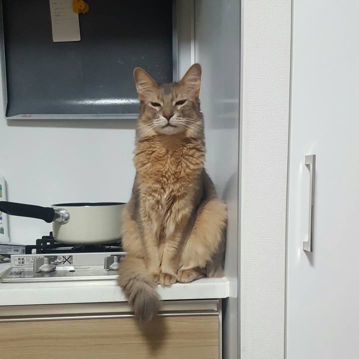 74342abd e184 44f5 bfed 51447efa4f5d 1550845475703