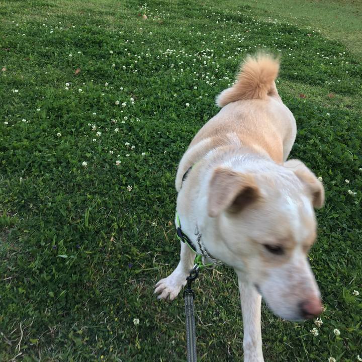 74344da4 28ae 4c7a ac8e c78d8aa7f0b7 1523092891636