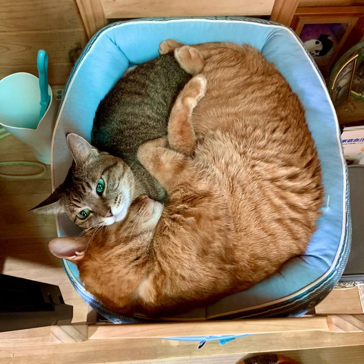 7434512b e7c4 48e1 85db 1a2f14502ebb 1640046540253