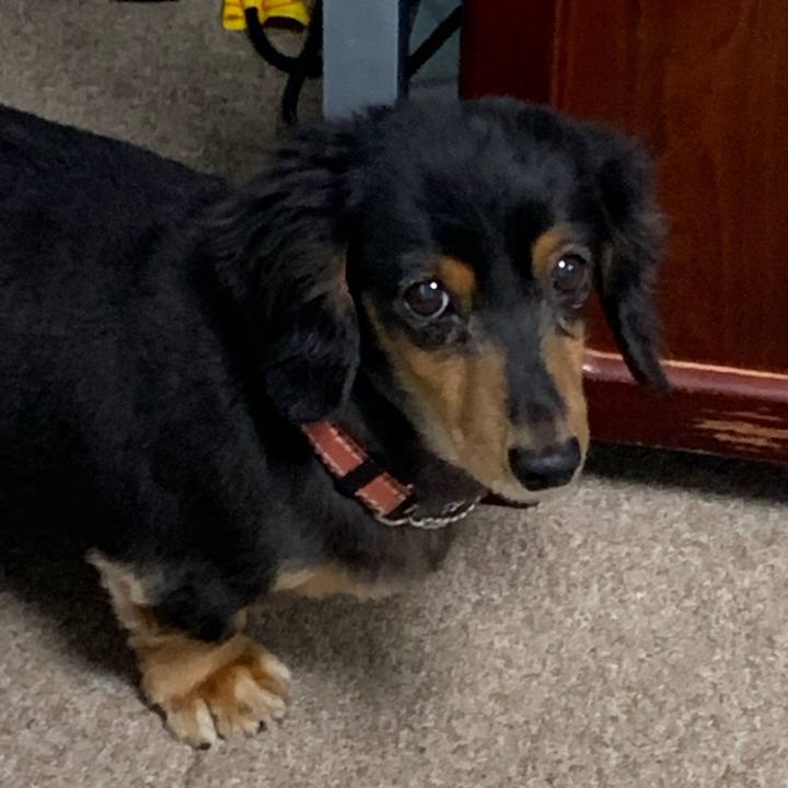 7434a3c8 91e1 4660 865f b59743a15592 1571867928808