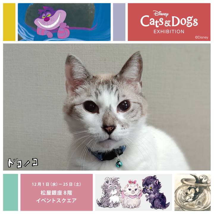 7434ce13 e911 470a be9d 8da62db5f991 1639559187934