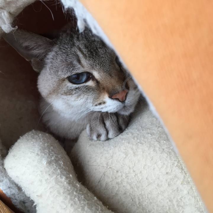 7434f196 2ad9 4b6a a0ee 487ce26a51d1 1547115632407