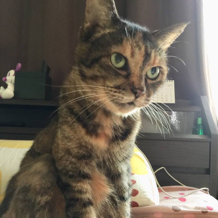 743505a5 9f3b 4ba2 8abc 08c1916dcfa2 1537312093629