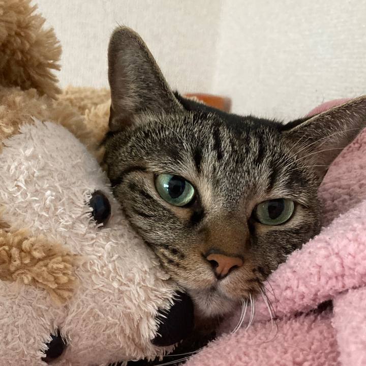 74350fb7 e0a7 485a aec5 c231c2927ddb 1632549396140