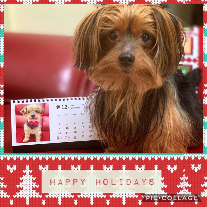 74355222 1bf7 478b 9527 016b307e0c74 1543620096038