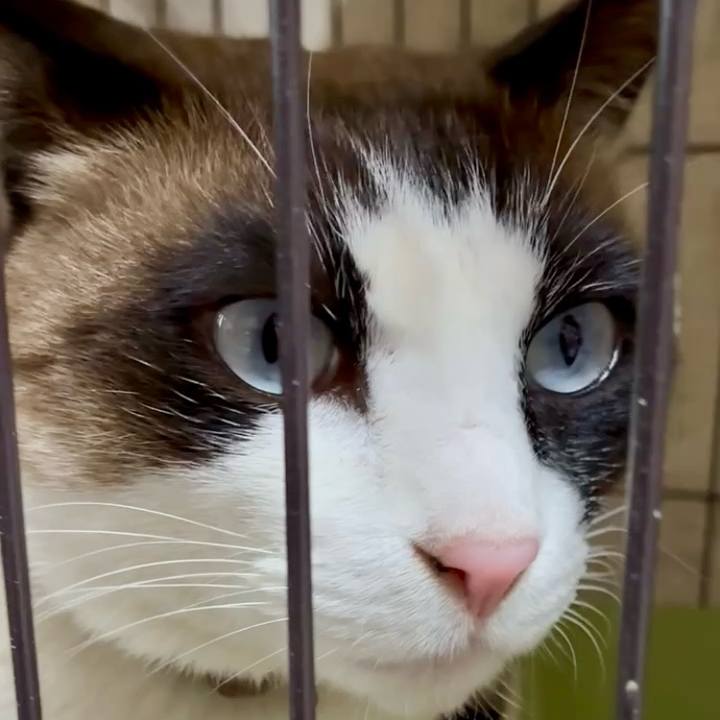 743559bd 7f3a 4504 9943 377b21fe546c 1773583044771