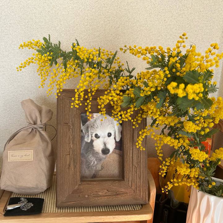 7435b1b4 aa03 4a1a b89d 9c2452452c08 1771892985437