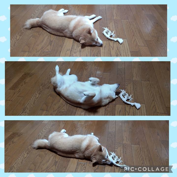 7435bb06 45cb 4895 89d7 22c3387d579a 1754648745546