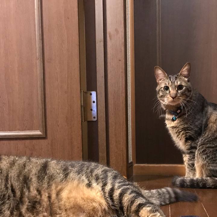 7435da67 1f13 4d2d b023 465398810a13 1560267455605