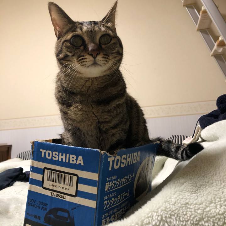 7435edcc f9d1 45b5 8825 3dee4d90f1e2 1574130457782